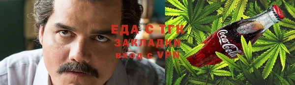 гидра Инта