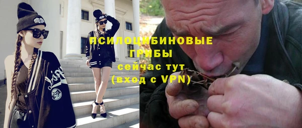 гидра Инта