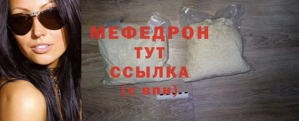 гидра Инта