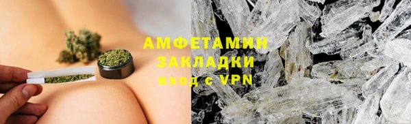 гидра Инта