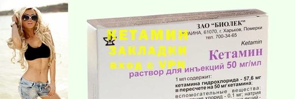 гидра Инта