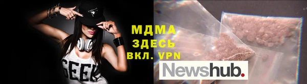 гидра Инта