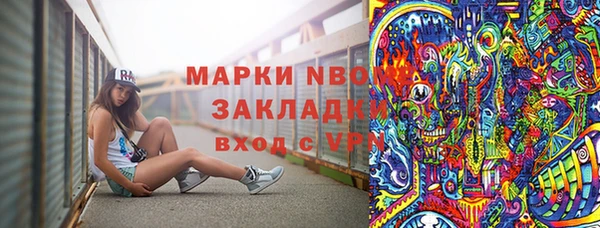 гидра Инта