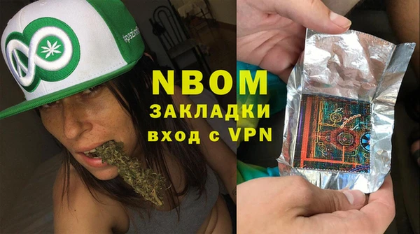 гидра Инта