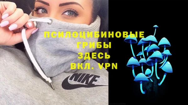 герыч Инсар
