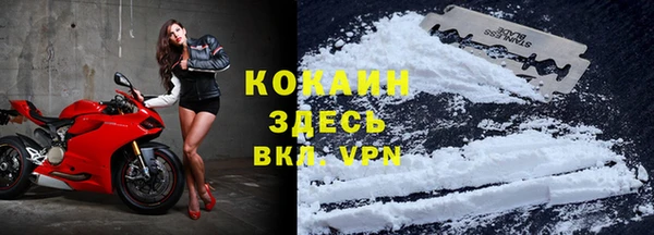 гидра Инта