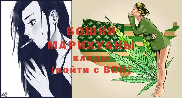 гидра Инта