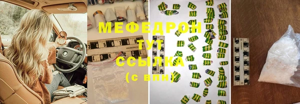 гидра Инта