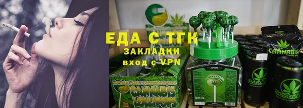 гидра Инта