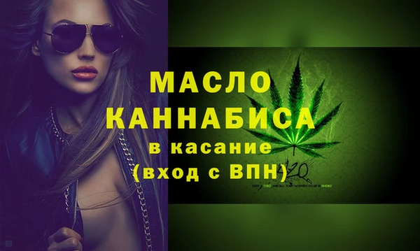 гидра Инта