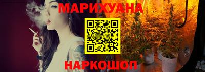 шишки Донской