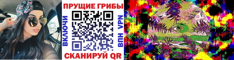 где найти наркотики Советск ссылка на мегу сайт Галлюциногенные грибы GOLDEN TEACHER