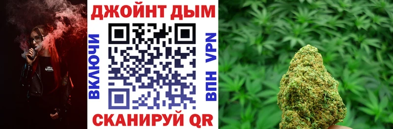 Канабис сатива  ОМГ ОМГ зеркало  Советск  где купить наркоту 